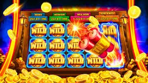 cuci2 login